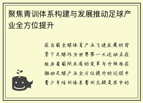 聚焦青训体系构建与发展推动足球产业全方位提升
