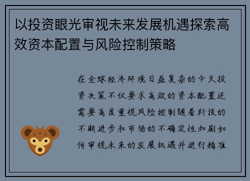 以投资眼光审视未来发展机遇探索高效资本配置与风险控制策略